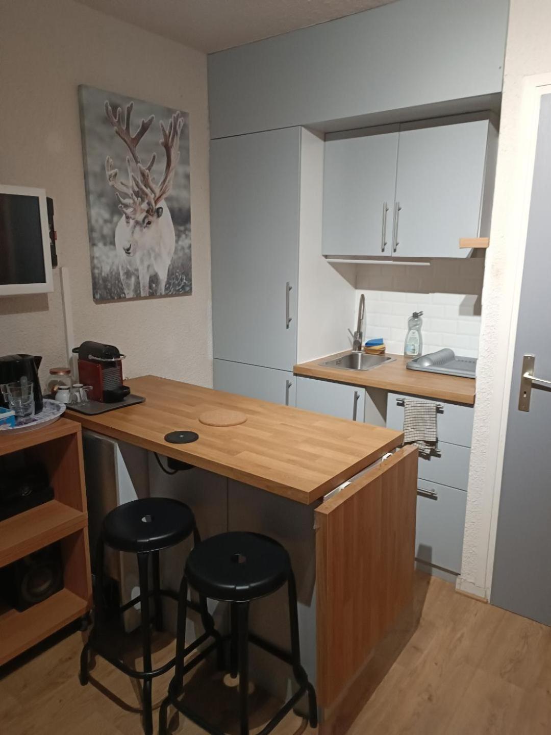 Studio Au Pied Des Pistes Avec Vue Sur La Montagne Mieussy Ngoại thất bức ảnh